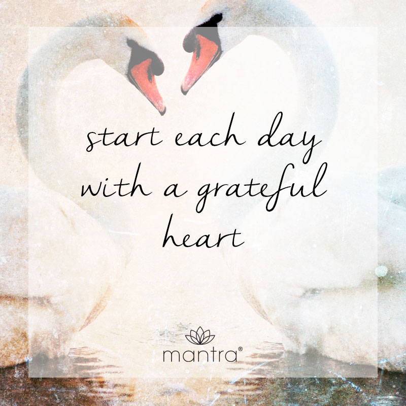 Start each day with a grateful heart