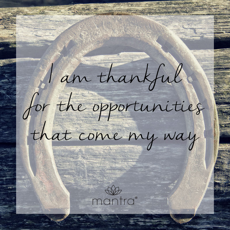 I am thankful for the opportunities that come my way