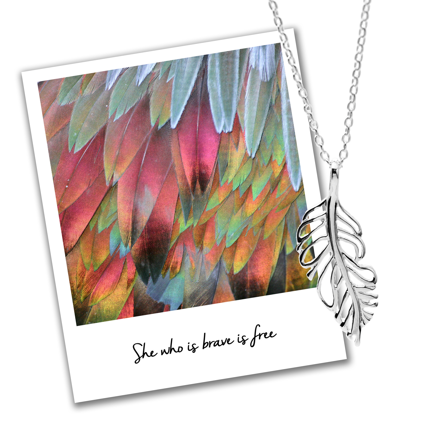 feather necklace bravery