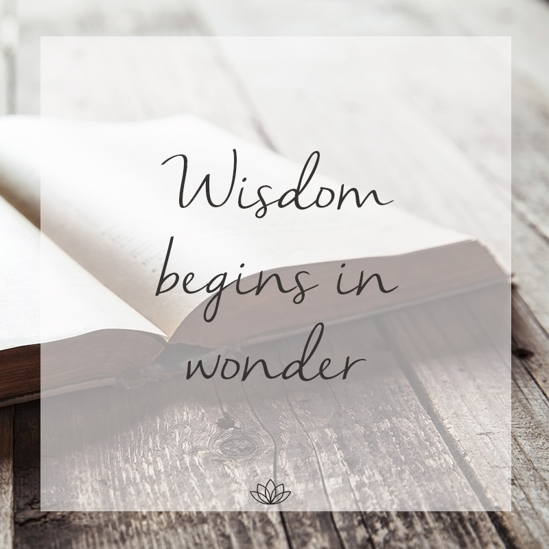 Gemini mantra jewellery, wisdom owl necklace wisdom begins in wonder necklace