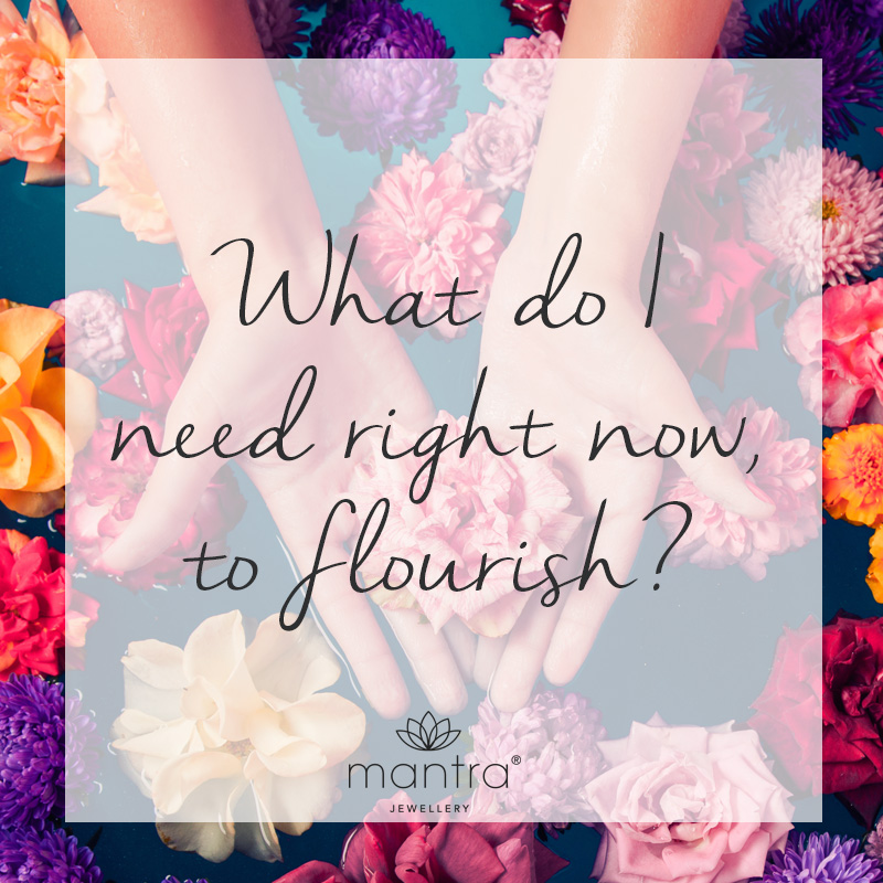 Flourish Quote Flourish Quote