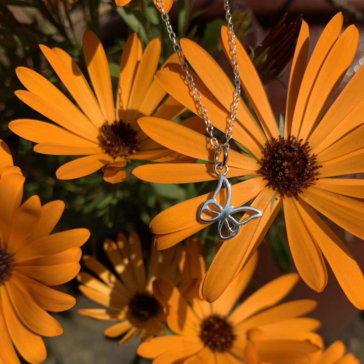 Butterfly Necklace Photoshoot