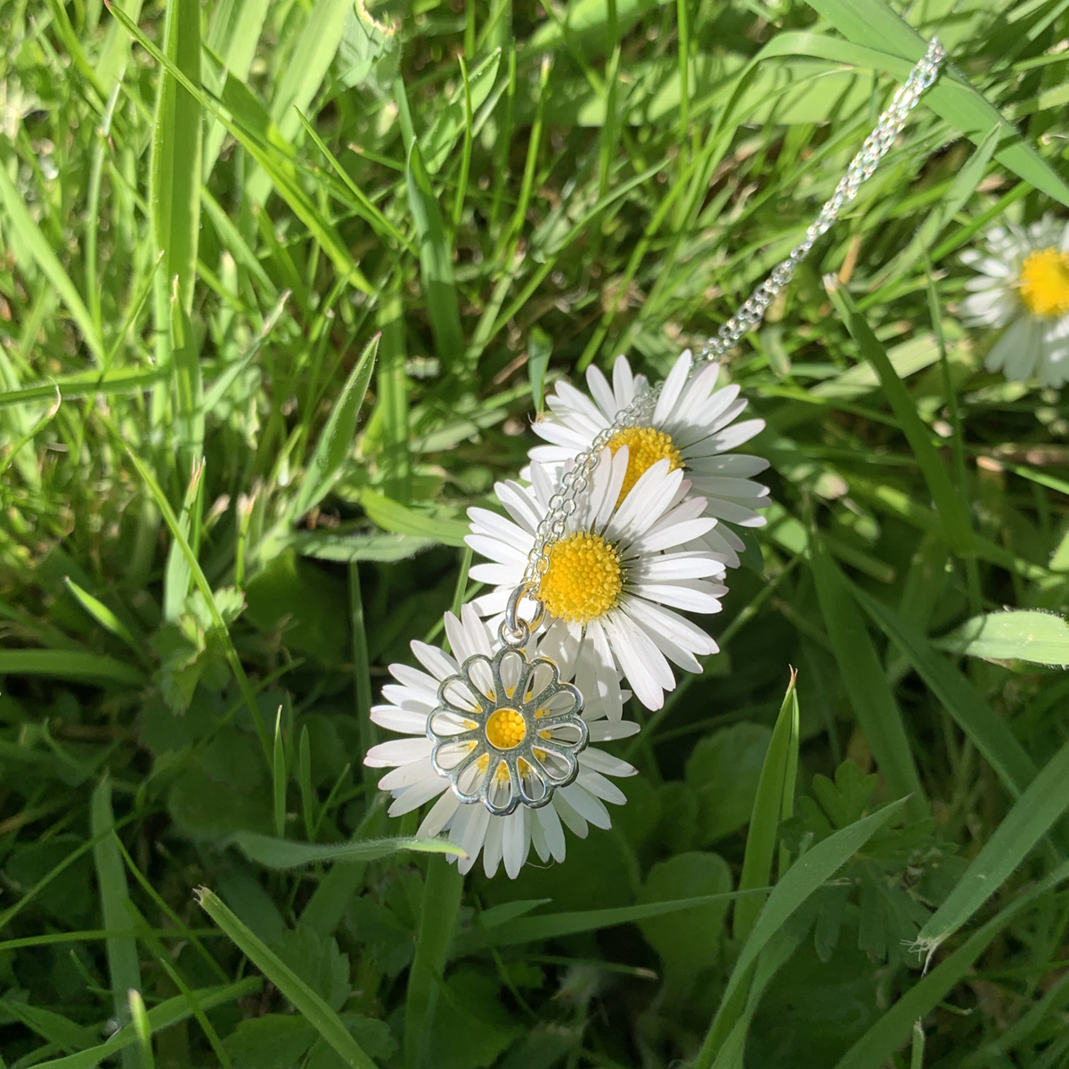 Daisy Necklace Photoshoot