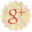 Google+ icon