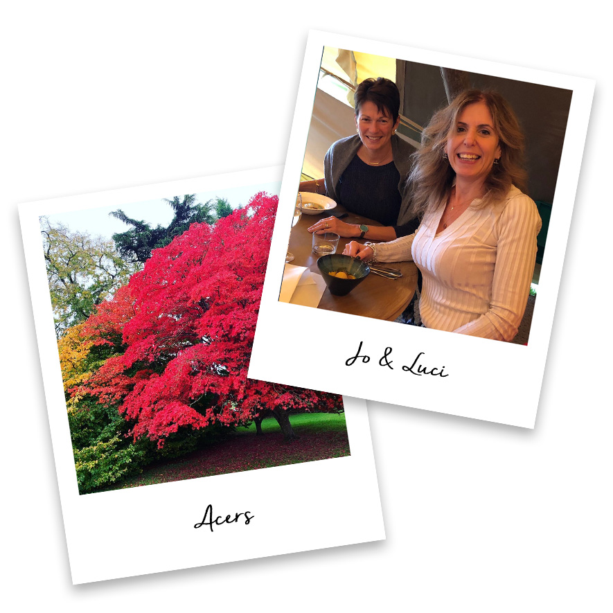 Jo's Journal Nov 2020 Jo's Journal Nov 2020