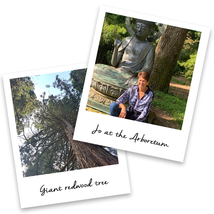 Jo Stroud on holiday to Batsford Arboretum