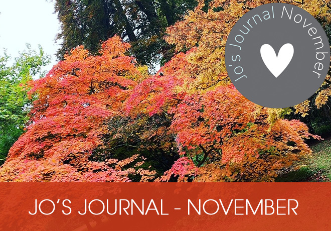 Jo's Journal November