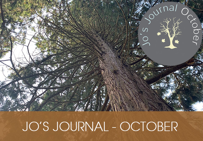 Jo's Journal October