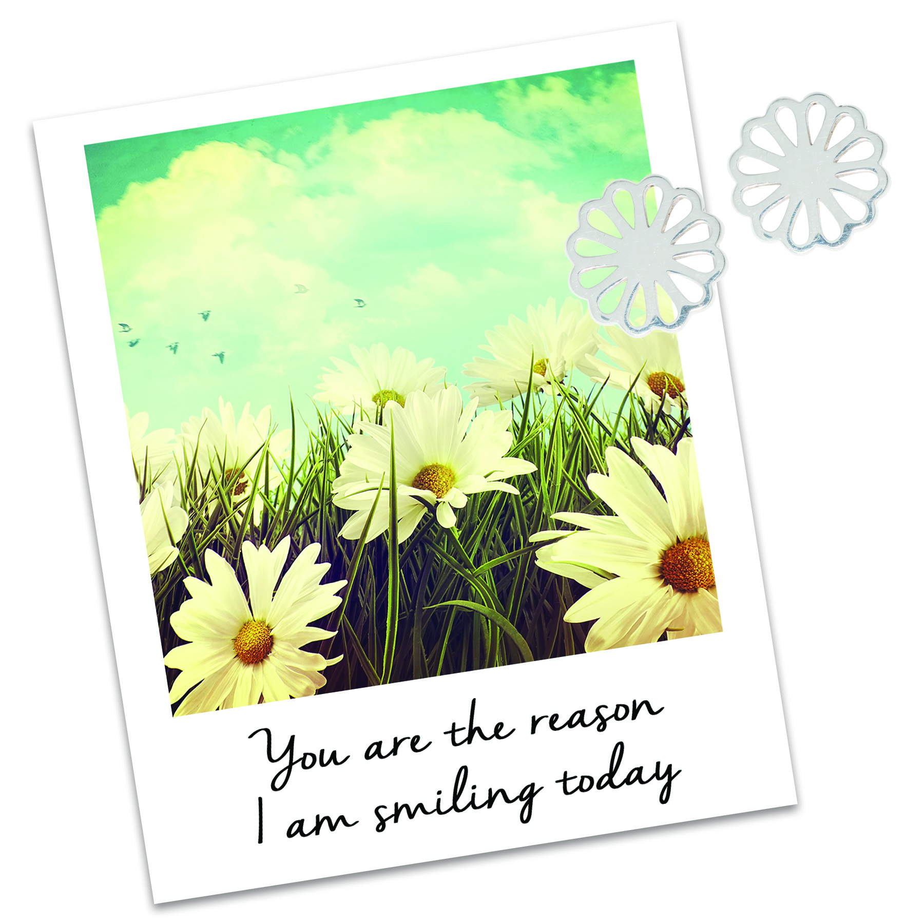 Daisy Earrings - Galentines Day Gifts Daisy Earrings - Galentines Day Gifts