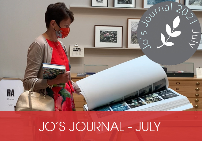 blog - jo's journal july 2021