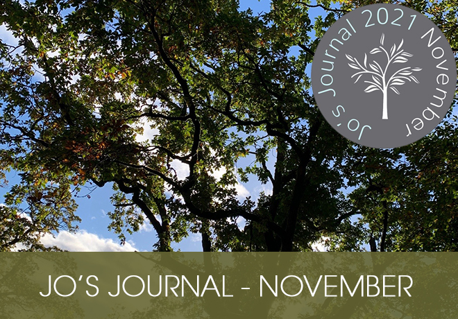 Blog - Jo's Journal November 2021