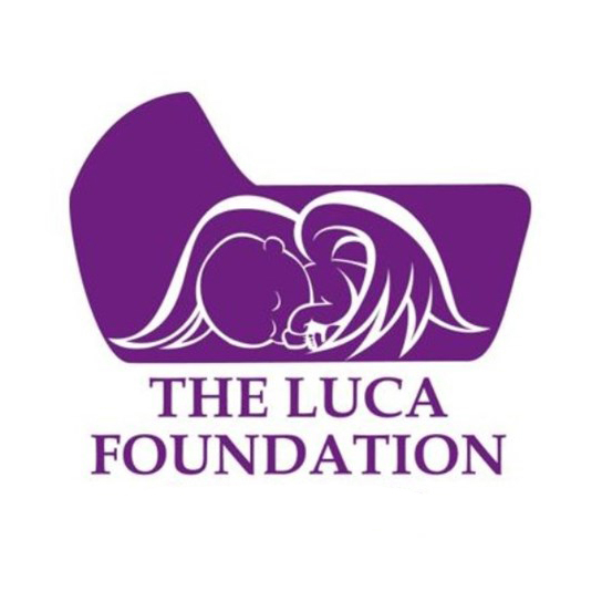 Luca Foundation Logo