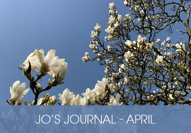 Blog - Jo's Journal April