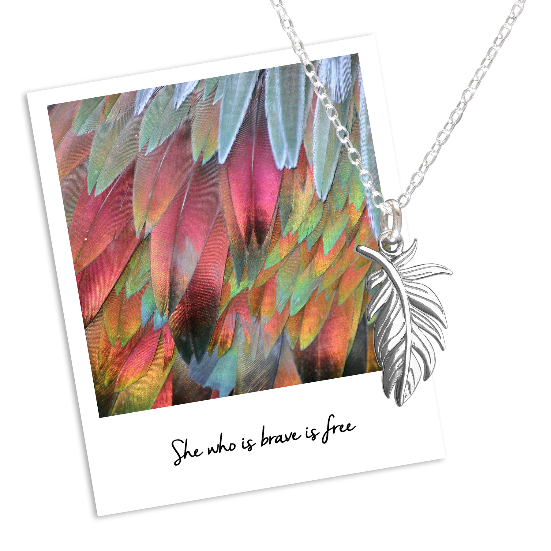 Plume Feather necklace