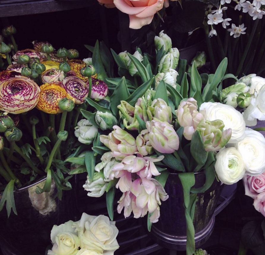 beautiful fresh flowers beautiful fresh flowers