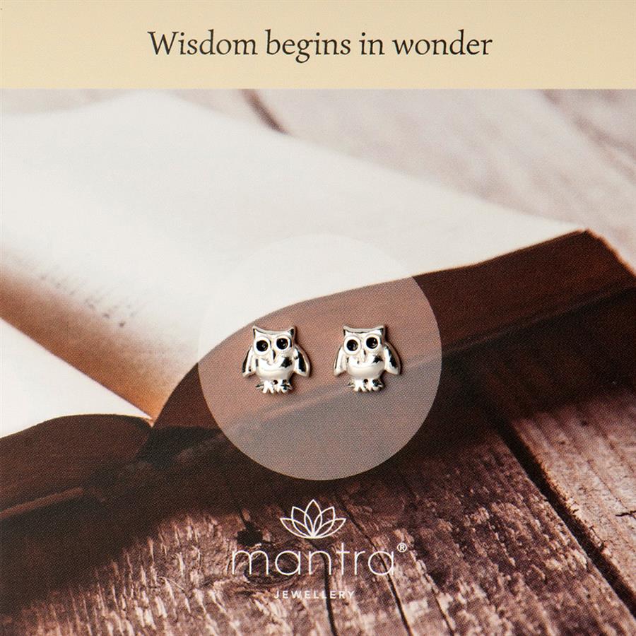 Sterling Silver Wisdom Earring - Cute Owl Earrings Sterling Silver Wisdom Earring - Cute Owl Earrings