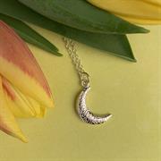 Silver Crescent Moon Necklace on tulips 